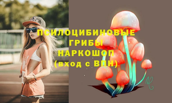 стаф Нязепетровск