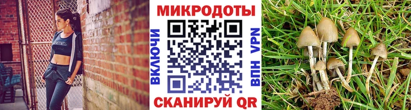 Галлюциногенные грибы Cubensis  Тавда 